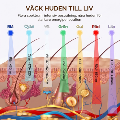 Infografik InfraRelief™ Ansiktsmask – 7 ljusfärger och våglängder: blå 470nm, cyan 470+520nm, vit 470+520+630nm, grön 520nm, gul 630+520nm, röd 630nm, lila 630+470nm